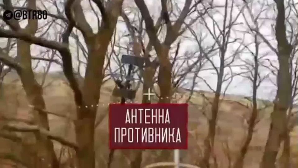 � ������ ���������������� ������� ������������� ����� ������ ����������� "�����" ����� �����������, ������ �������� ������ ��� �� ��������������� ������� ������