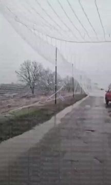 Осторожно, ненормативная лексика!