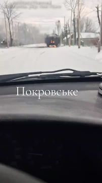 ������������ ��������������� ATF Dingo ��� ��������� ������������ � �.�. ���������� ���������������� �������