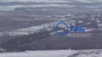 ������ �������: � ���������������� ������� ������� ����������� ����� ��������-�� ����������� ������� ���������� ������ ��������� ���������� ����������