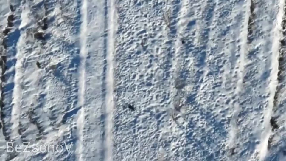 ������ ��������: ������ ��������-ѻ ����������� ����� ������� �������� ������ ���������� ���� ��� � ���������������� �������