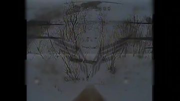 ������� - ���� �� ����!. ������ ������ ���������� ������ "�������" �� 30 ������ 2026 ���� � �������