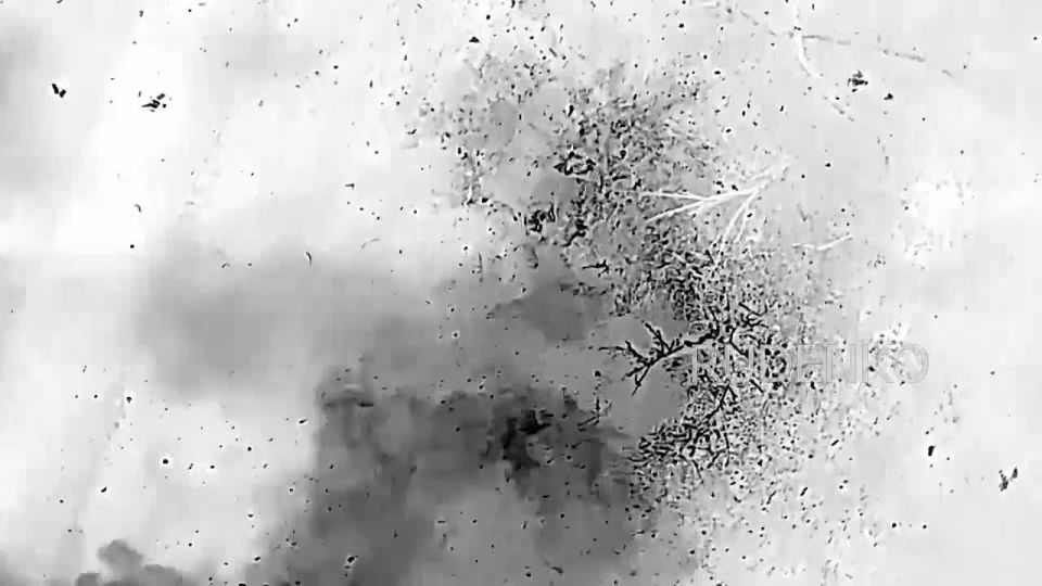 ������ �������: � ������ ���������� ������ ���������������� ���������������� ������� ����������� ���������������� ���� ����� ����������� ������ ����������� ������� �������� ������ ��������� ���������� ���, ����������������...