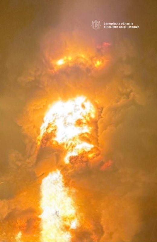 ���� ����: �� �� ����� ������� ����� �� �������� � 5 �������� �������: