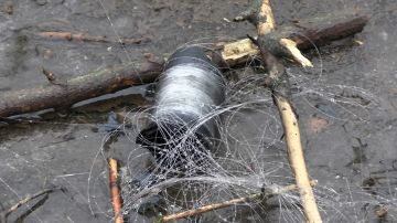 ���������� ���������� ����: ��� �������� ������ �������� �� ���������