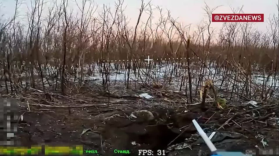 ����� ���������� �� ������� ���������� � ������� ������ ��������� ���������� � ���������������� �������