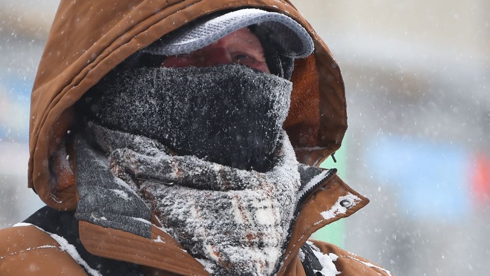 Метель века: как центральная Россия справляется с обрушившимся циклоном «Валли»