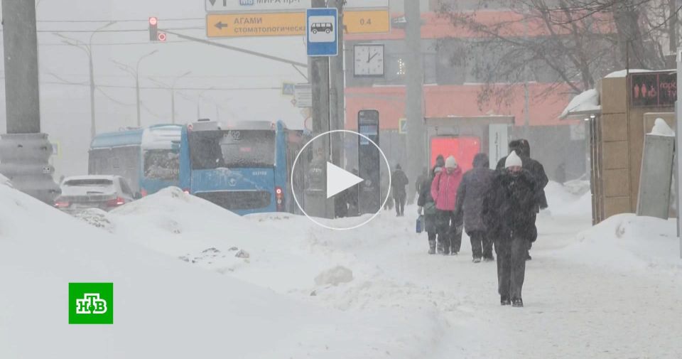 ���� ������ �������: �������� ������� ������������� �������� ������� ������