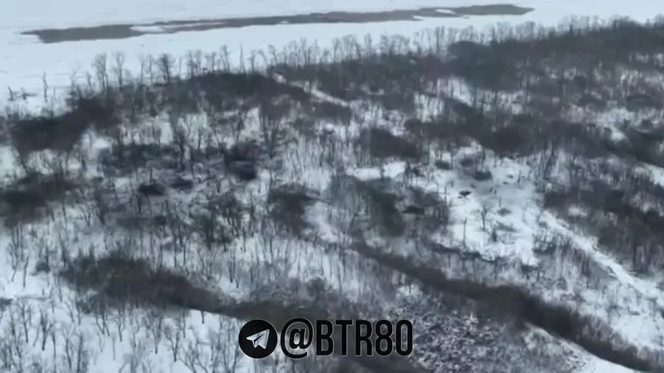 "���� �����" ����������� ����� ��� ������ ������������ ����� ������ ������� ��������