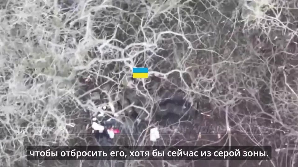 ������������ "��" ��� ���� �� ������� � ���������