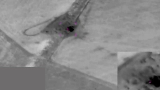 ������� ���������: ���������� "�����������" � ��������� ��������������� ������� �� ���� ��� � ������� ���������������