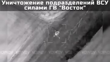 ���� ��������: �������� ����������� ��� � ���������������� �������