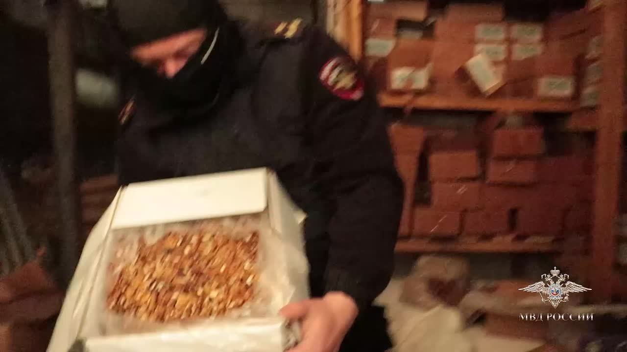 Сладкая жизнь закончилась: силовики накрыли подпольную шоколадную фабрику с десятью тоннами сладкого контрафакта во Владимирской области