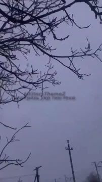 ������ ������� "������" �� ������� ���������� � �.�. ����������� ���������������� �������