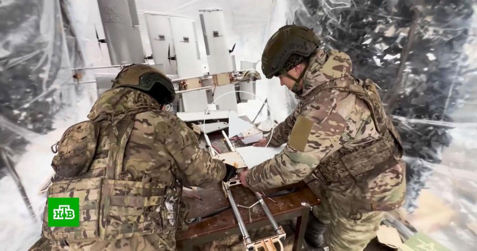 ���������� ����� ������� ������� ������ ������� � ���� �������� � �������� ���