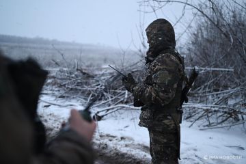 �� ������ ���������� �� 40 ���������� �������� � ���������������� �������