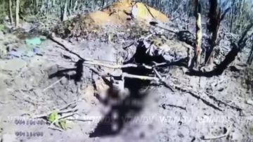 �������� �������: � ���������������� ������� ������