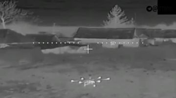 ����������� "�����" ���������� ���� �������������� �������� � ���������������� �������, ���������� ����������� ���������� ���� �� ��������������� �������