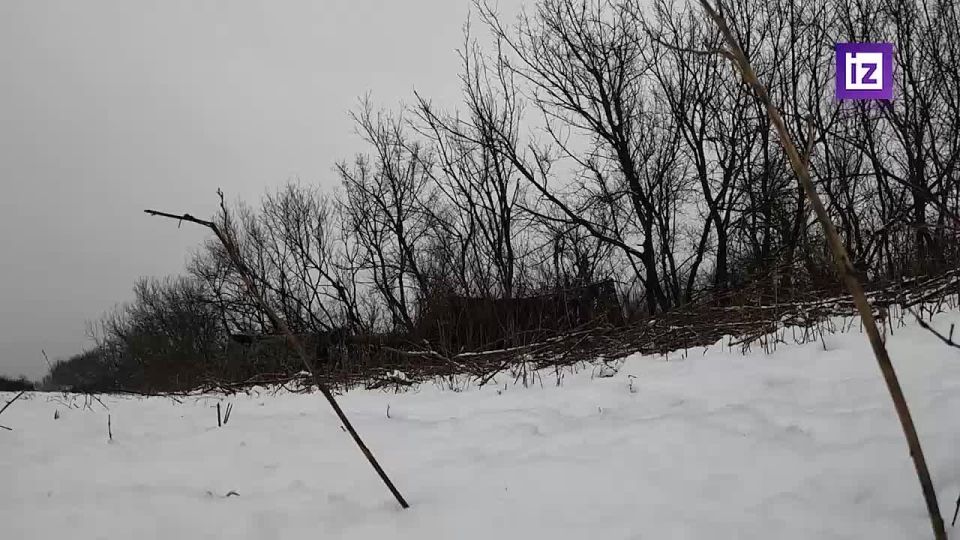 "������ ����� �� ����": �������������� ����������� ����� "�����" ���������� �������������� ������ ������ � �������� ��� �� ���������������� �����������, �������� � ���������� ��