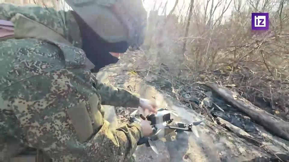 ������� ����������� ������ �������� ������� ���������� �������� ��� � ���������������� �������, �������� � ���������� ��