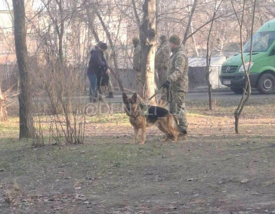 �� "���������" ������ "�������� �����"