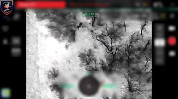 ��������� �������: ���� ����� ���������� ���������� �������� ��������� ������ �� ����-���������������� �����������