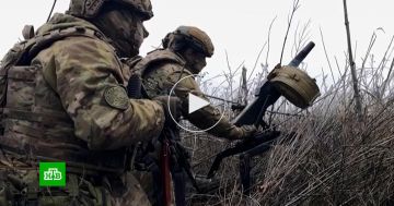 ���������� ����� ���������� ������ ���������� ��� � ���� ���