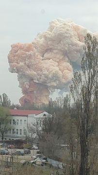 ������ ���� ������ �� �������� ���������� ������������ � ���������� ���������������� �������