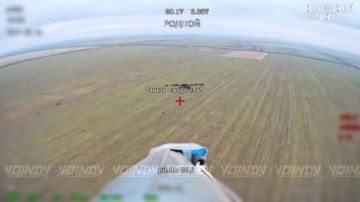 �������� ����������� ���� ���������� � ���������������� � ����������� �������� ����������� ���� 14 ����������� ������� �������� ����������� ����� "������"