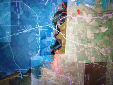 ���� �������: ����������������/����������� �����������