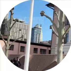 � ���������� ������ ����������� ����������� ��� � ������ ��������������� (���� ��������) ���� �����������