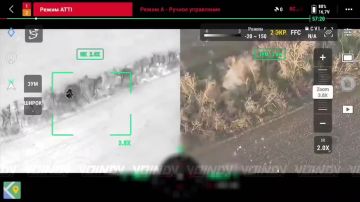 ����������� ����� ���� ��� ����������� 656 ��������������� ����� 29 ����� ����������� ����� "������", ���������������� �������