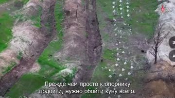 Минобороны России: Штурмовики 80-го танкового полка группировки войск «Центр» выбили противника из девяти опорных пунктов