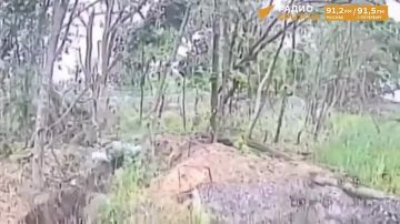 ����� ������ �� ����� ���������� ������ ���������� ������ � ���������� ��