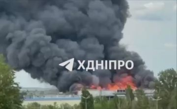���� �������: ��� ���� ����� �� ���������������