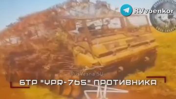 Операторы «Центра» работают по технике и пехоте ВСУ на Покровском и Днепропетровском направлениях