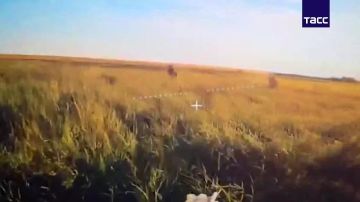 �� �� ���������� ����������� � ���������������� �������, �������� ��