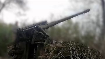 ����� �� �������: ��� �� �� ������������ �� ���������������� �����������