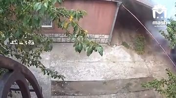 ���, ����������, ������ ���������������� ��������� ���������� ������ � ����� �� �����������