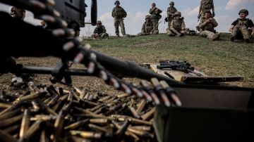 ТАСС: ВСУ скапливают элитные войска у Доброполья, пытаясь замедлить ВС РФ