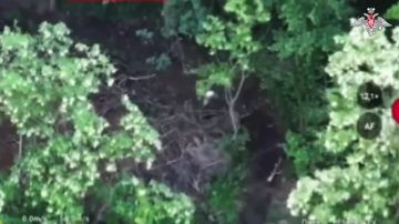 ���������� �������� ����� ����, ��� ������������� ����������� ����� ������� ����� ��� �������� ���������� ����� ������������ ���������������� �������