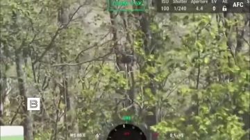 "�������� ��������� ��� [����������] � ����� � ��������� �������": ���������� ������� ����������, ��� ����������� ���� ������������ � ���������������� �������