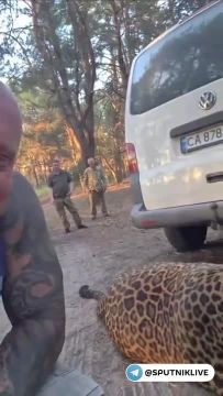 � ���������������� ������� �������� ������-�� �� ����� ������������ �������, ������� ��������� � ���� ��������