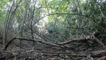 ������ �������: ������������ 80-�� ������������ ��������� ����� 90-� ����������� �������� ������� ����������� ����� ������ ����� �� ������ 2�65 �����-�� � �-30 ���������� ���������� ������� ����� ������������ ��� ��...
