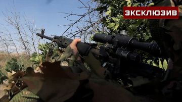 ����� �� �������: ��� �������� ���������� ����������� ������� � ���� ������������