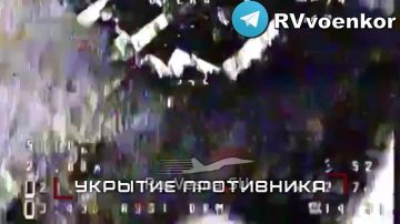 ����� ���: ����� ������� ���������� ������ � ������� ����� � ���� �� ��������������� � �� ����������������
