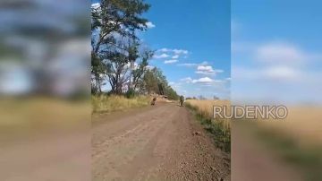 ������ �������: ������ ���������� ������� �������� ����������� ����� ������� ���������� ���������� ������� ����� ��� � ������ ���������� ������ ���������������� ���������������� �������