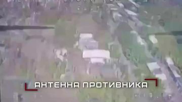 ����������� ����� ������ ������� � ������ ����� � ���� �� ����������, ����������� � � ���������������� �������