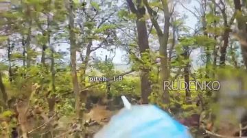������ �������: ������� FPV-������ 90-� ����������� �������� ������� ����������� ����� ������ ����� ��������� ������ �� ����������� ������-�������������� ��� �� ���������������� �����������