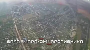 ������ ������ ������ ������������� ������ ����� "�����" �� ���������� ����������� � � ���������������� �������